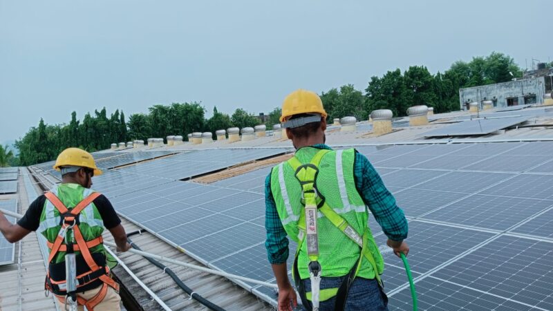 eco sunshine working team